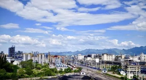 一个红包938万！衢州重奖科技功臣，500万奖励仙游来科技