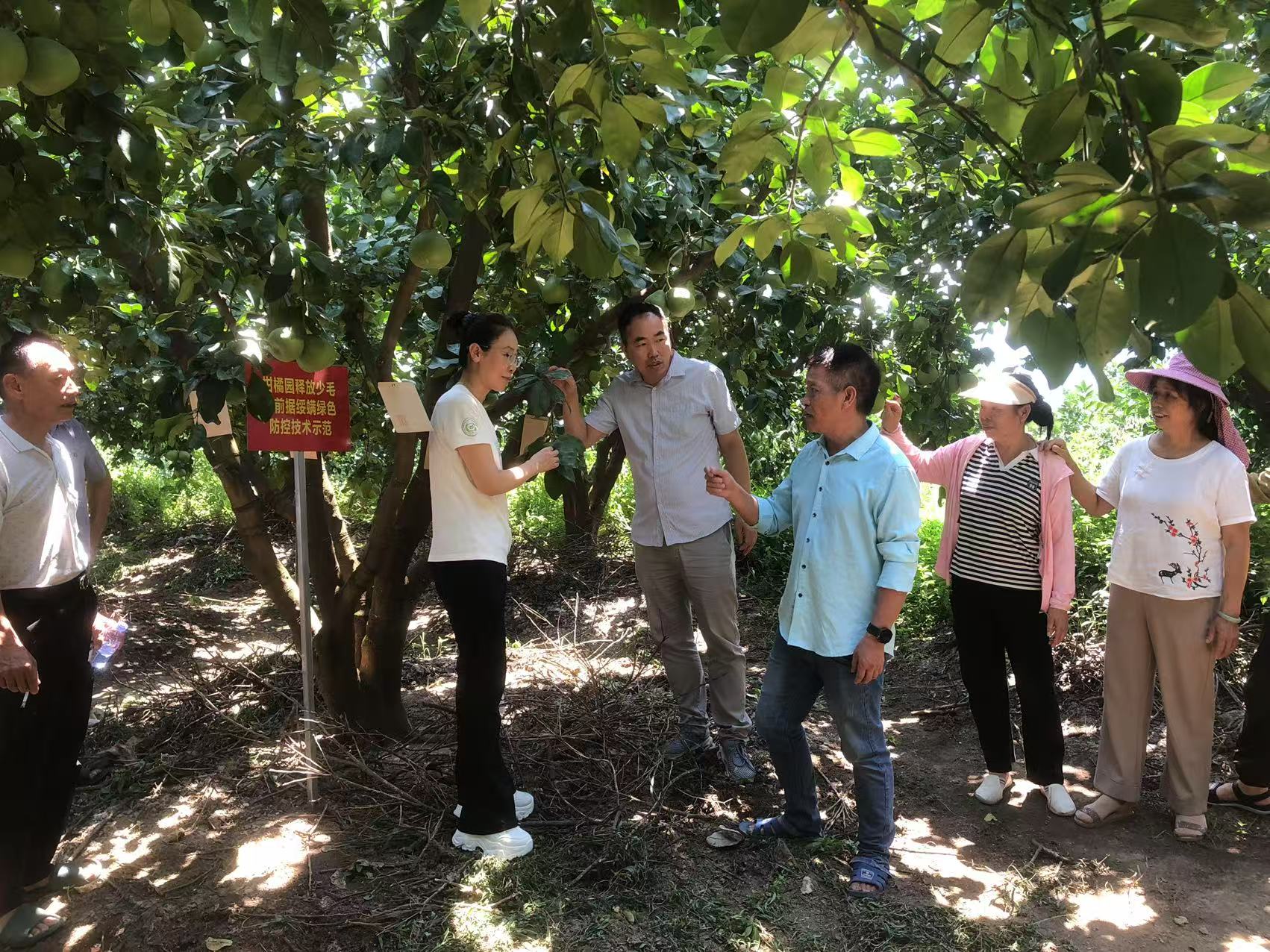 科技赋能农业 植保所专家赴仙游开展柑橘病虫害绿色防控技术培训